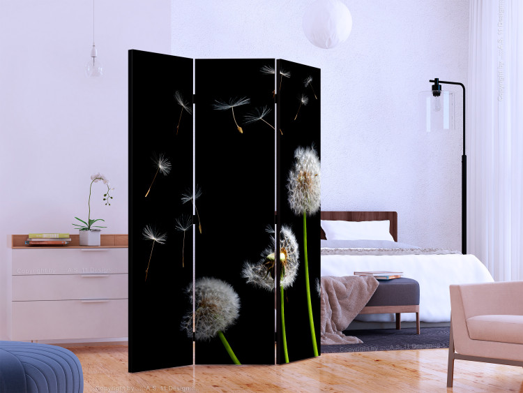 Room Divider Dandelions, Kites, Wind... - dandelion flowers on a black background 133937 additionalImage 2