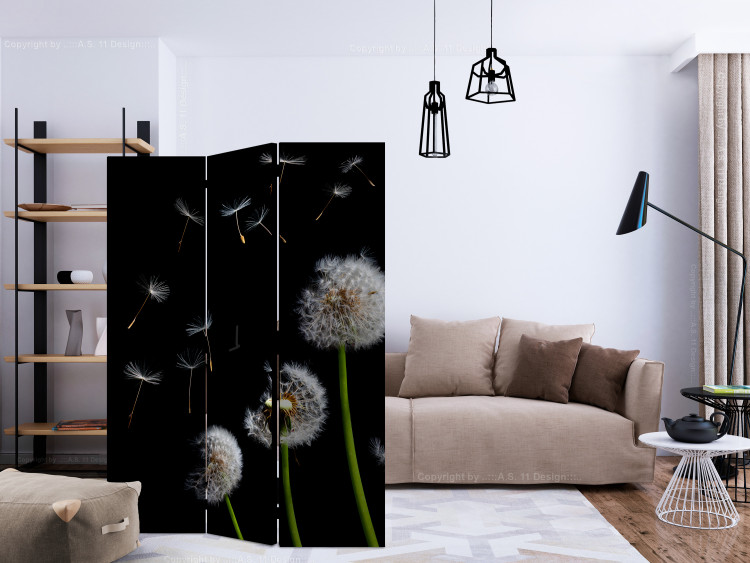 Room Divider Dandelions, Kites, Wind... - dandelion flowers on a black background 133937 additionalImage 4
