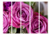 Room Divider Bunch of Lilac Flowers II - bouquet of purple lilacs on a natural background 134037 additionalThumb 3