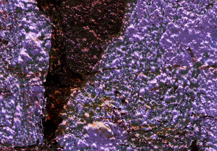Canvas Art Print Purple Shade Map (1-piece) Wide - purple world map 142337 additionalImage 5