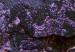 Canvas Art Print Purple Shade Map (1-piece) Wide - purple world map 142337 additionalThumb 4