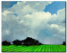 Canvas Art Print Rural idyll - green field landscape on the background of a blue sky 49737