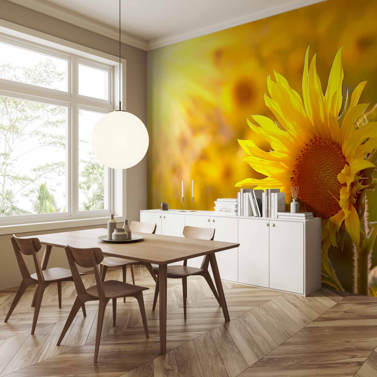 Wall Mural Summer Floral Motif - Yellow Flower in the Sun on a Sunflower Field Background 60737 additionalImage 7