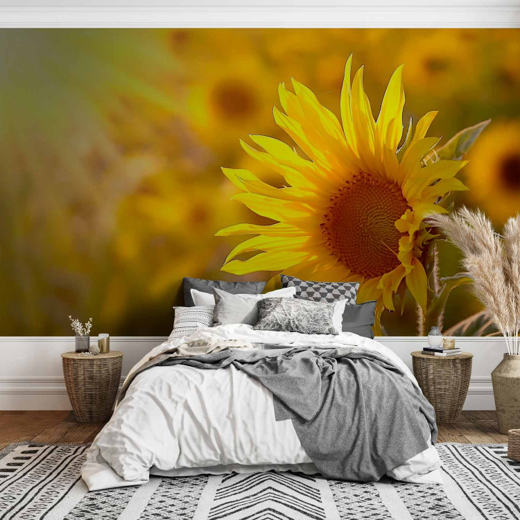 Wall Mural Summer Floral Motif - Yellow Flower in the Sun on a Sunflower Field Background 60737 additionalImage 2