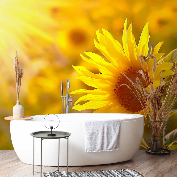 Wall Mural Summer Floral Motif - Yellow Flower in the Sun on a Sunflower Field Background 60737 additionalImage 8