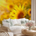 Wall Mural Summer Floral Motif - Yellow Flower in the Sun on a Sunflower Field Background 60737