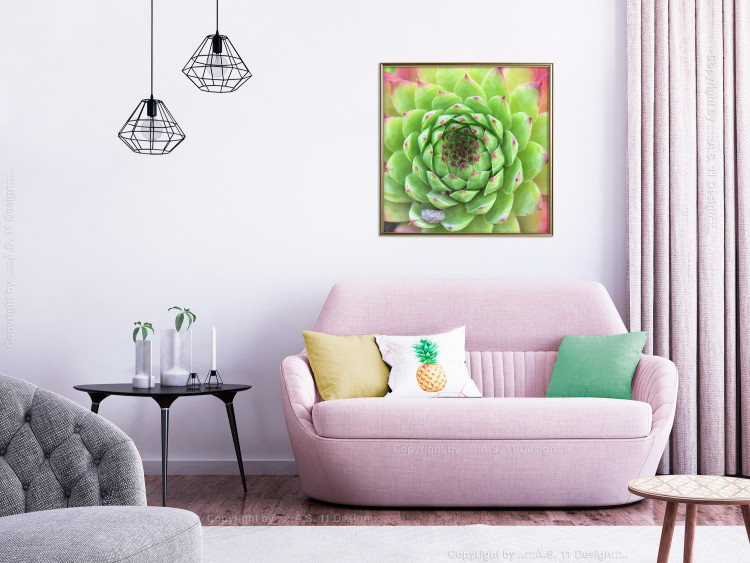 Wall Poster Succulent (Square) - botanical composition with green-pink leaves 114447 additionalImage 10