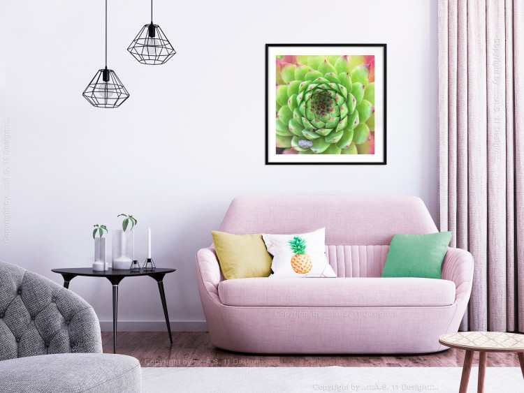 Wall Poster Succulent (Square) - botanical composition with green-pink leaves 114447 additionalImage 18