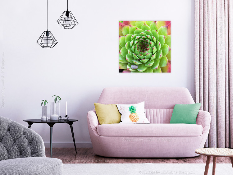 Wall Poster Succulent (Square) - botanical composition with green-pink leaves 114447 additionalImage 7