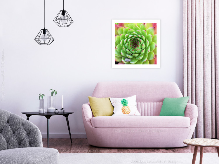 Wall Poster Succulent (Square) - botanical composition with green-pink leaves 114447 additionalImage 8