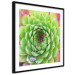 Wall Poster Succulent (Square) - botanical composition with green-pink leaves 114447 additionalThumb 12