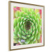 Wall Poster Succulent (Square) - botanical composition with green-pink leaves 114447 additionalThumb 14