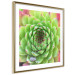Wall Poster Succulent (Square) - botanical composition with green-pink leaves 114447 additionalThumb 11