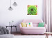 Wall Poster Succulent (Square) - botanical composition with green-pink leaves 114447 additionalThumb 8