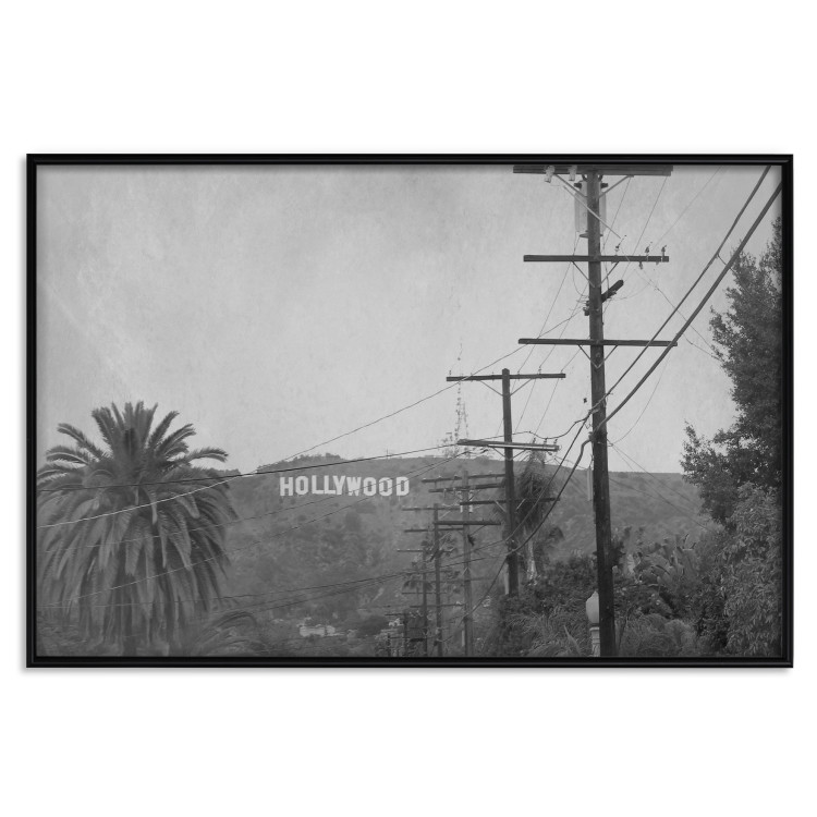 Wall Poster Hollywood - black and white cinematic shot among trees overlooking mountains 116347 additionalImage 18