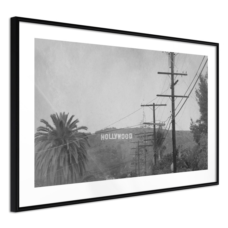 Wall Poster Hollywood - black and white cinematic shot among trees overlooking mountains 116347 additionalImage 11