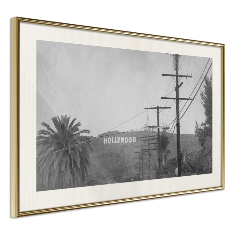 Wall Poster Hollywood - black and white cinematic shot among trees overlooking mountains 116347 additionalImage 2