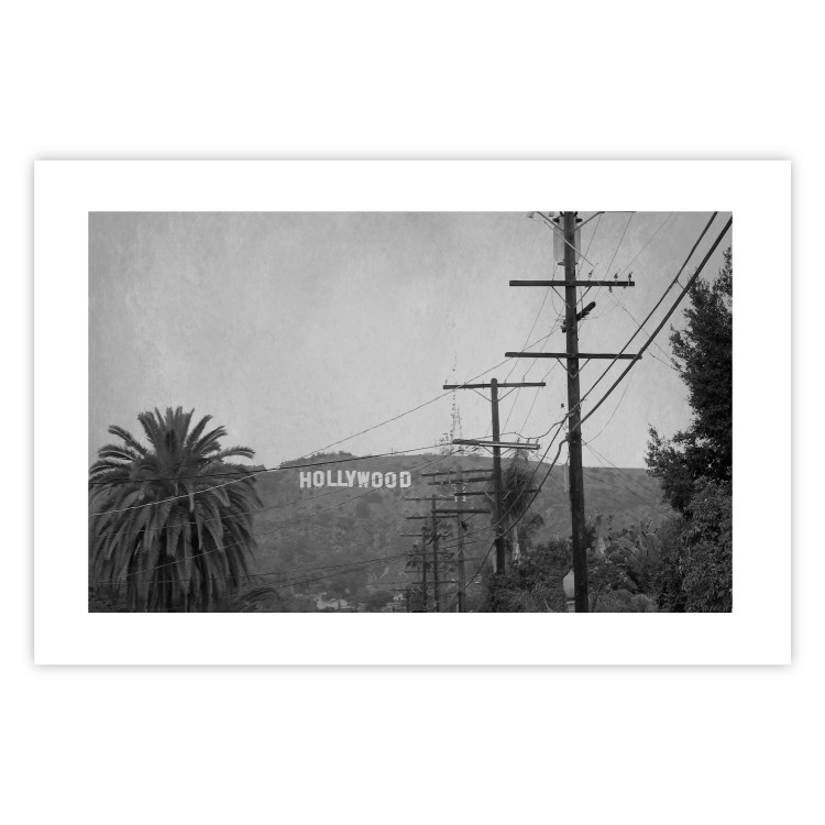 Wall Poster Hollywood - black and white cinematic shot among trees overlooking mountains 116347 additionalImage 25