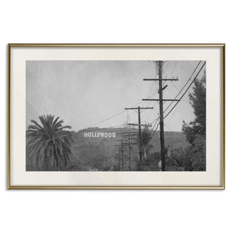 Wall Poster Hollywood - black and white cinematic shot among trees overlooking mountains 116347 additionalImage 19