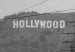Wall Poster Hollywood - black and white cinematic shot among trees overlooking mountains 116347 additionalThumb 10