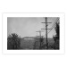 Wall Poster Hollywood - black and white cinematic shot among trees overlooking mountains 116347 additionalThumb 19