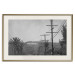 Wall Poster Hollywood - black and white cinematic shot among trees overlooking mountains 116347 additionalThumb 19