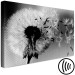 Canvas Print Dandelion - a fleeting, decaying plant in black and white colors 118247 additionalThumb 6