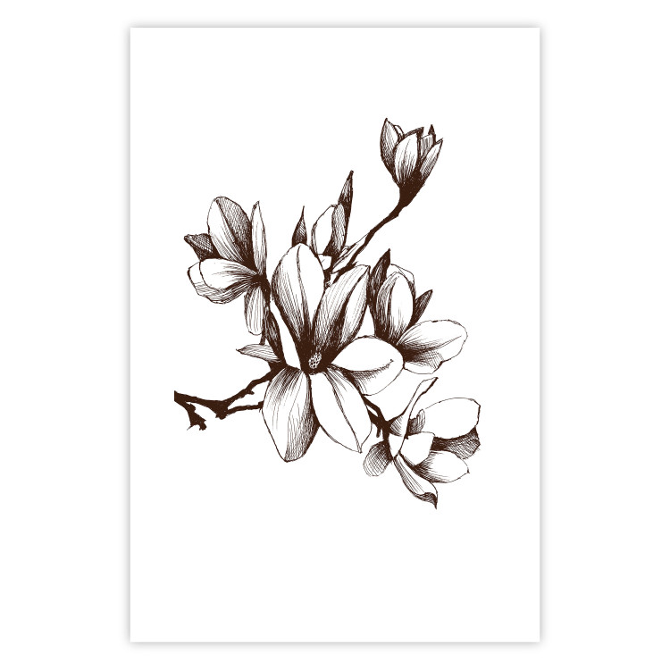 Poster Renaissance Magnolias - black and white composition with delicate flowers 119047 additionalImage 25