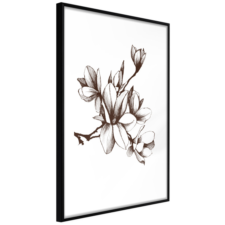 Poster Renaissance Magnolias - black and white composition with delicate flowers 119047 additionalImage 11