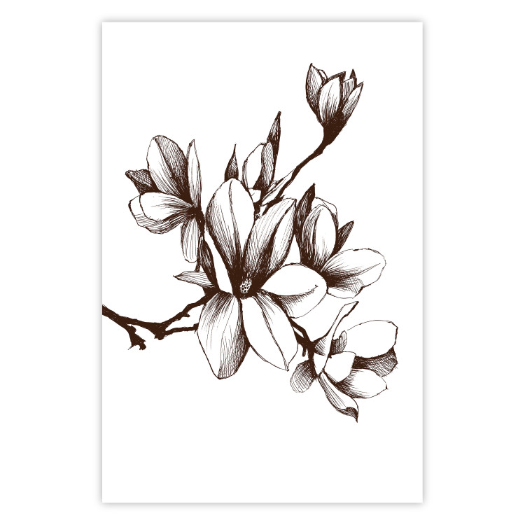 Poster Renaissance Magnolias - black and white composition with delicate flowers 119047