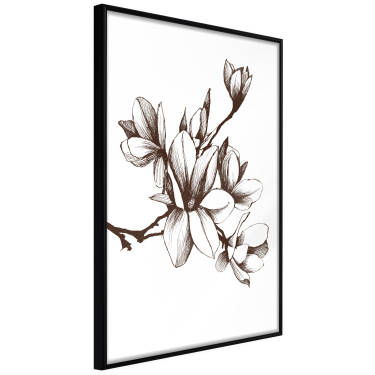 Poster Renaissance Magnolias - black and white composition with delicate flowers 119047 additionalImage 10