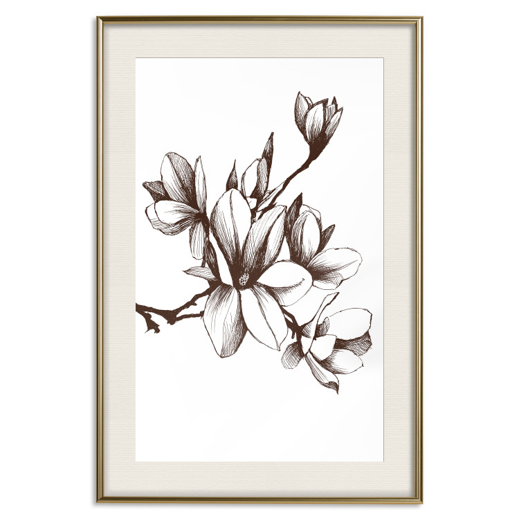 Poster Renaissance Magnolias - black and white composition with delicate flowers 119047 additionalImage 19