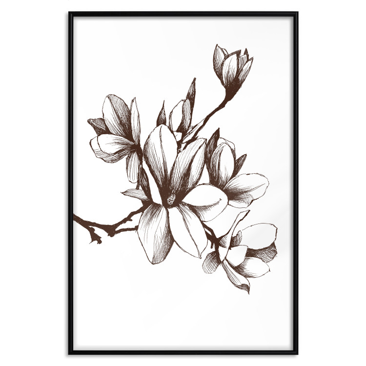 Poster Renaissance Magnolias - black and white composition with delicate flowers 119047 additionalImage 24