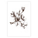 Poster Renaissance Magnolias - black and white composition with delicate flowers 119047 additionalThumb 25