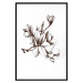 Poster Renaissance Magnolias - black and white composition with delicate flowers 119047 additionalThumb 17