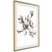Poster Renaissance Magnolias - black and white composition with delicate flowers 119047 additionalThumb 2