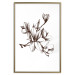 Poster Renaissance Magnolias - black and white composition with delicate flowers 119047 additionalThumb 16