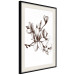 Poster Renaissance Magnolias - black and white composition with delicate flowers 119047 additionalThumb 3