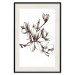 Poster Renaissance Magnolias - black and white composition with delicate flowers 119047 additionalThumb 18