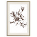 Poster Renaissance Magnolias - black and white composition with delicate flowers 119047 additionalThumb 19