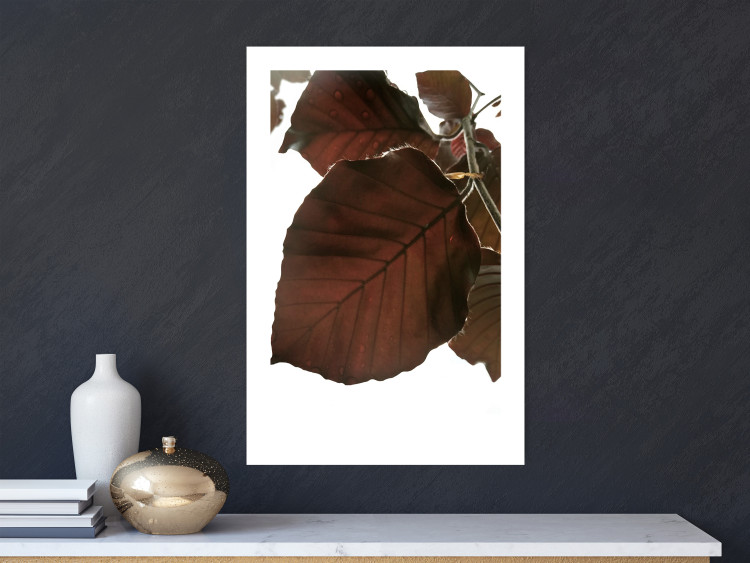 Poster Autumn Leaves - natural brown leaf in the light of bright sunlight 122647 additionalImage 2