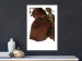 Poster Autumn Leaves - natural brown leaf in the light of bright sunlight 122647 additionalThumb 2