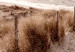 Canvas Print Distant Dune (1 Part) Vertical 123747 additionalThumb 4