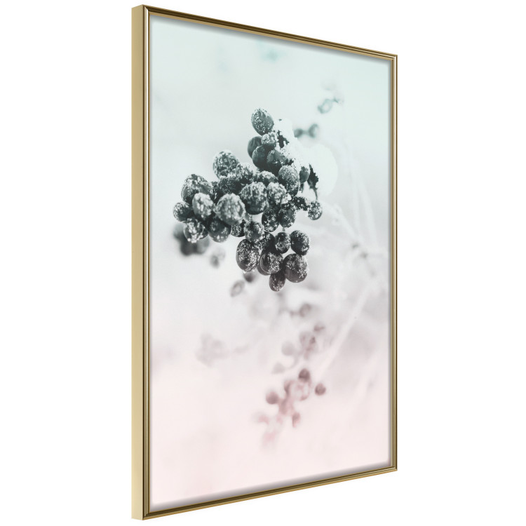 Wall Poster Frozen Twig - plant with dark berries on pastel background 124947 additionalImage 14