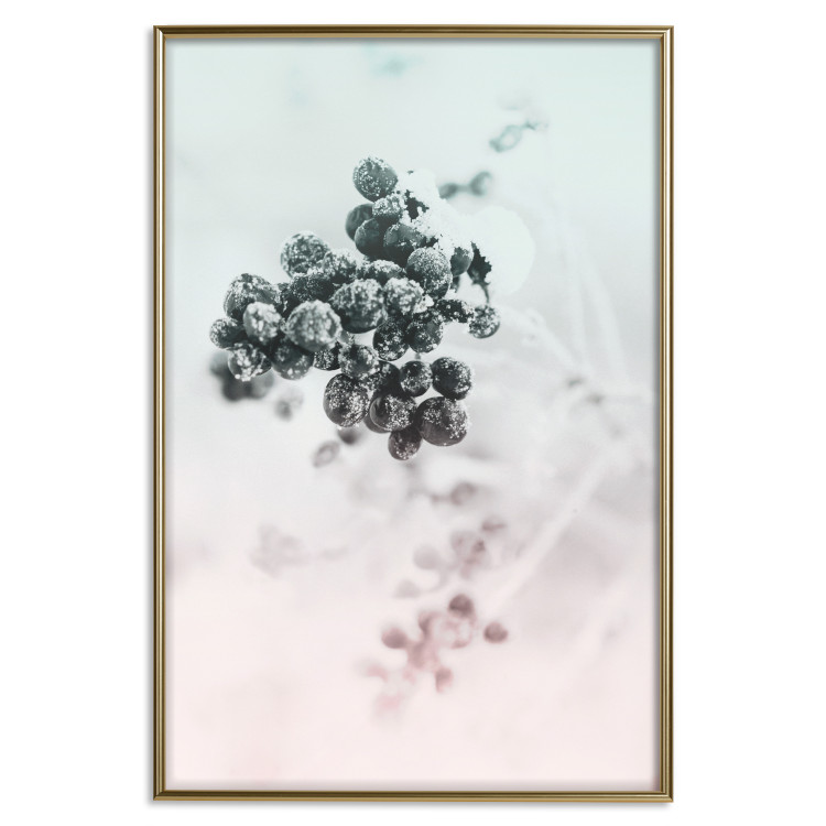 Wall Poster Frozen Twig - plant with dark berries on pastel background 124947 additionalImage 20