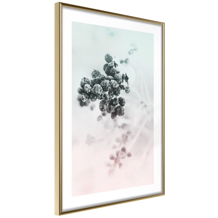 Wall Poster Frozen Twig - plant with dark berries on pastel background 124947 additionalImage 8