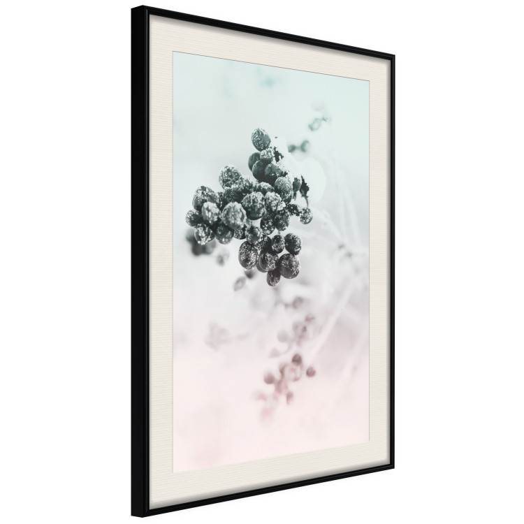 Wall Poster Frozen Twig - plant with dark berries on pastel background 124947 additionalImage 3