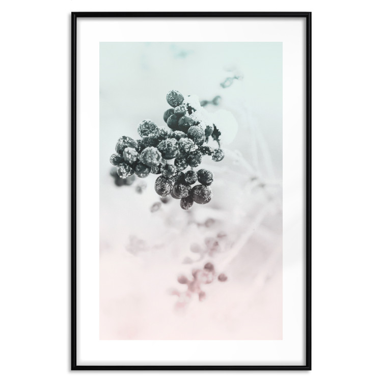 Wall Poster Frozen Twig - plant with dark berries on pastel background 124947 additionalImage 17