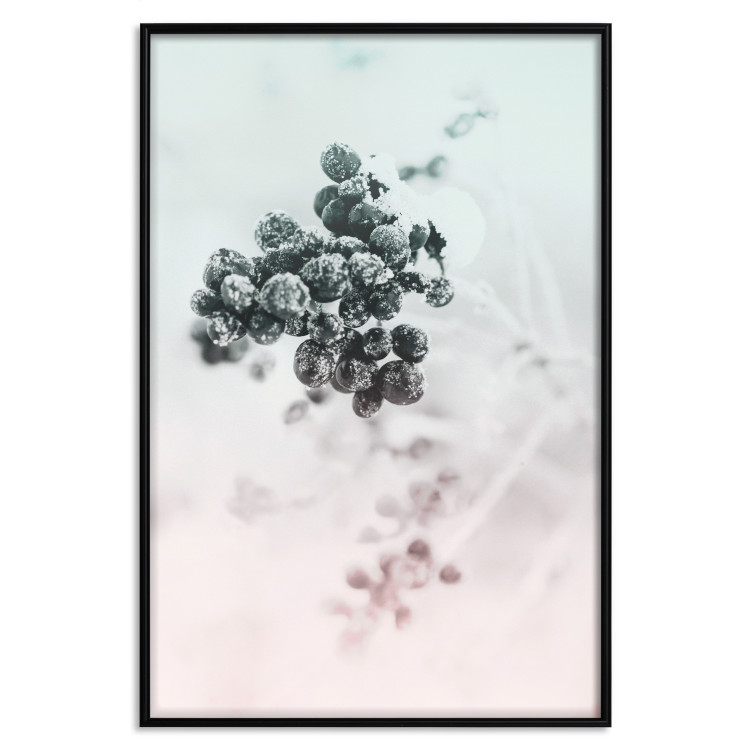 Wall Poster Frozen Twig - plant with dark berries on pastel background 124947 additionalImage 24