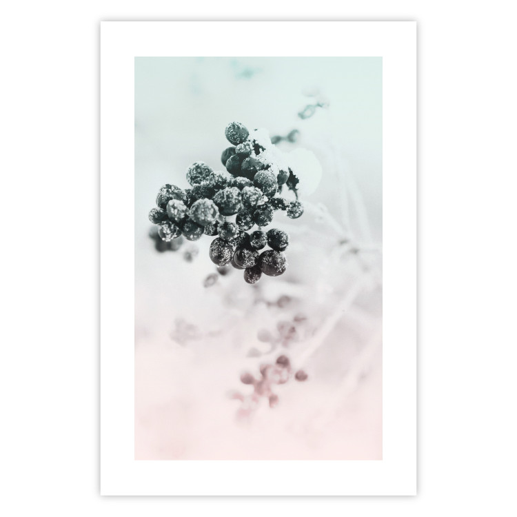 Wall Poster Frozen Twig - plant with dark berries on pastel background 124947 additionalImage 25